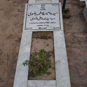 Syeda Ameer Fatima Rizvi