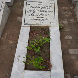 Syeda Razia Khatoon