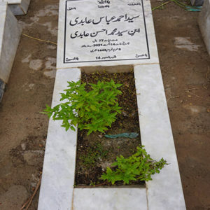 Syed Ahmad Abbas Abidi