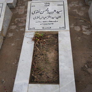 Syed Shabhi ul Hasan Naqvi