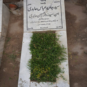 Syed Javed Abbas Abidi