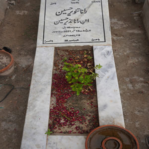 Rana Tanveer Hussain