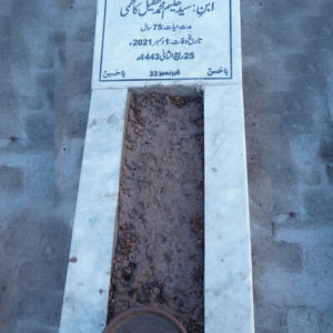 Syed Ghazanfer Ali Kazmi