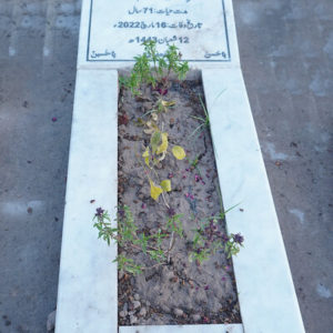 Syed Muhammed Arshad Naqvi