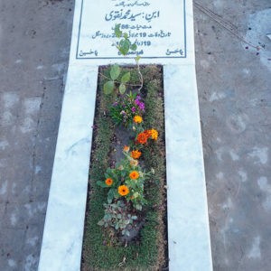 Syed Muhammed Raza Naqvi Mohonvi