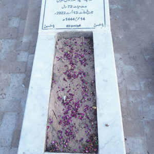 Syeda Shaheen Zehra Naqvi