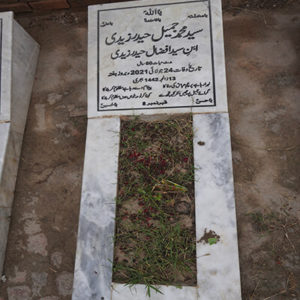 Syed Muhammad Jameel Haider Zaidi