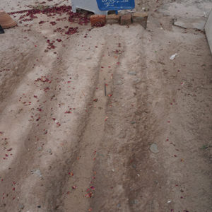 Syed Hamid Hasnain Naqvi