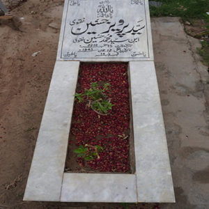 Syed Pervaiz Hasnain Naqvi