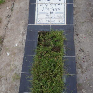 Syeda Narjis Khatoon