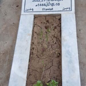 Syed Muhammad Murtaza Naqvi