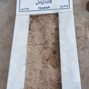 Syed Zulfiqar Ali Bukhari