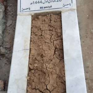 Syeda Naveeda Mubarak Ali