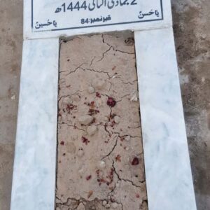 Syed Manzoor Hussain Shah