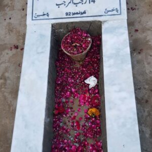 Syed Mir Mustafa Hussain Rizvi