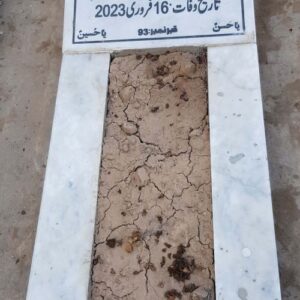 Syed Muhammad Abbas Naqvi