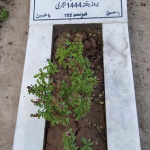 Syed Irshad Hussain Naqvi