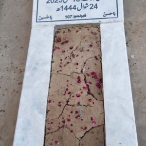 Syed Ali Hussain Abidi