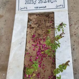 Syed Waseem Haider Rizvi