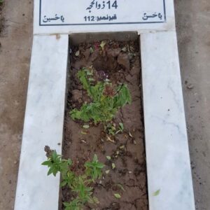 Syed Hassan Raza Zaidi