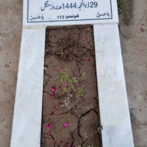 Syed Muhammed Ameer Mehdi Jafri