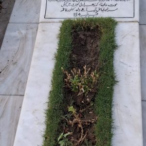 Syeda Kishwar Fatima Naqvi