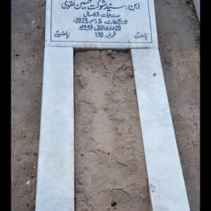 Syed Moazzam Ali Naqvi