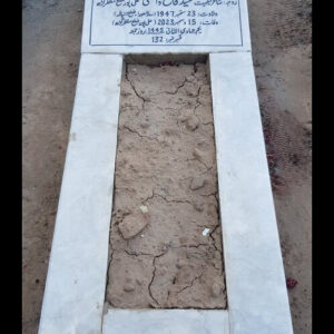 Syeda Shadab Fatima Rizvi