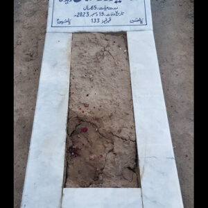 Syed Zargham Ali Zaidi