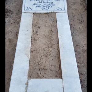 Syeda Mehmood Fatima