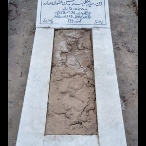 Syed Ameer Hussain Shah