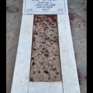 Syed Muhammed Taqi Kazmi