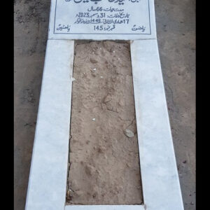 Syed Nasir Hussain Naqvi