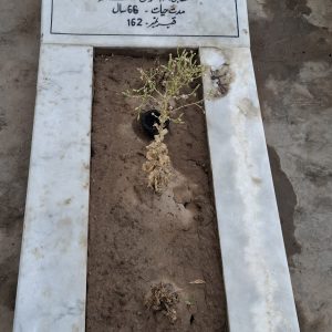 Syeda Izhaar Fatima Termizi