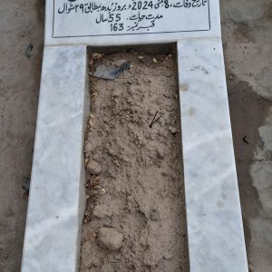 Syed Muneer Hussain Naqvi