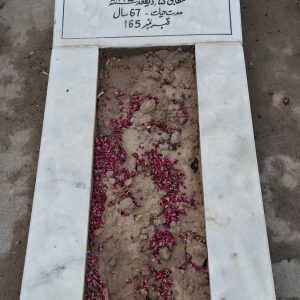 Syed Tajdar Hussain Zaidi