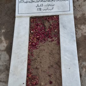 Syeda Farhat Zahra Abidi