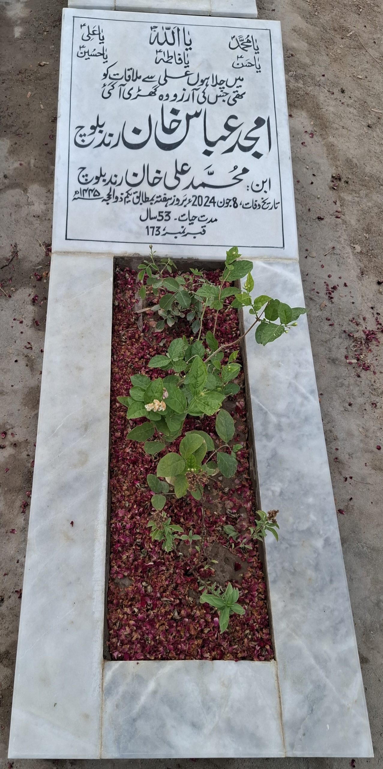Amjad Abbas Khan