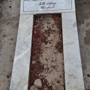 Syed Raza Abbas Abidi