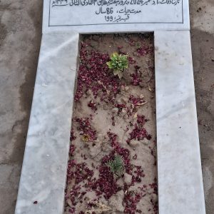 Syed Masroor Hussain Abidi