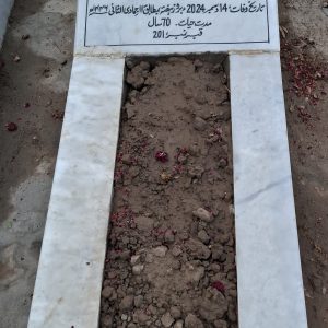 Syed Tahir Hussain Naqvi