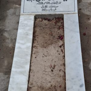 Syed Mujhaid Hussain Abidi