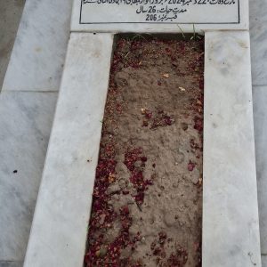 Syeda Fizza Ali Rizvi