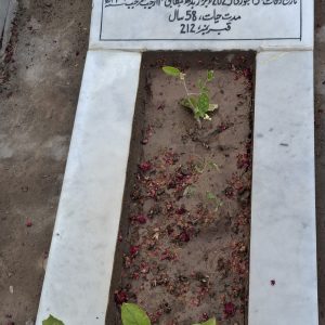 Syeda Riffat Zahra Rizvi