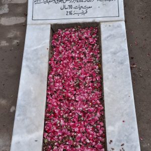 Syeda Gulnar Fatima Kazmi