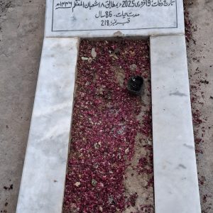 Syed Azmat Ali Zaidi