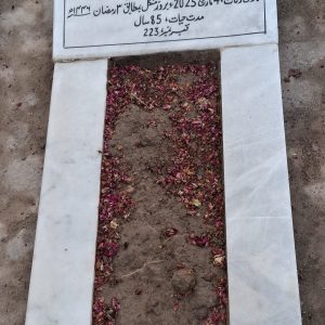 Syeda Husne Zahra Naqvi