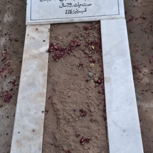 Syeda Qamar Fatima Zaidi