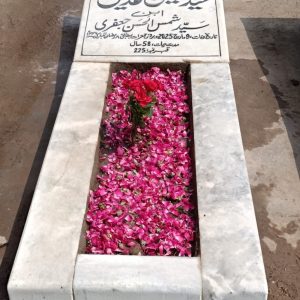 Syed Hussain Adeel Jafri